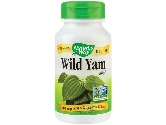Wild Yam: The Unsung Hero of Natural Dietary Supplements
